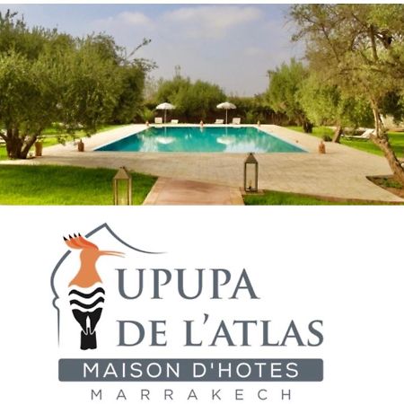 Upupa De L'Atlas Ouled el guerne Eksteriør billede