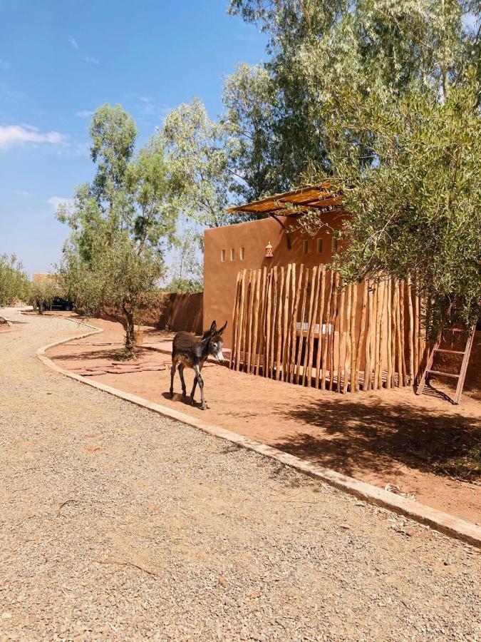 Upupa De L'Atlas Ouled el guerne Eksteriør billede