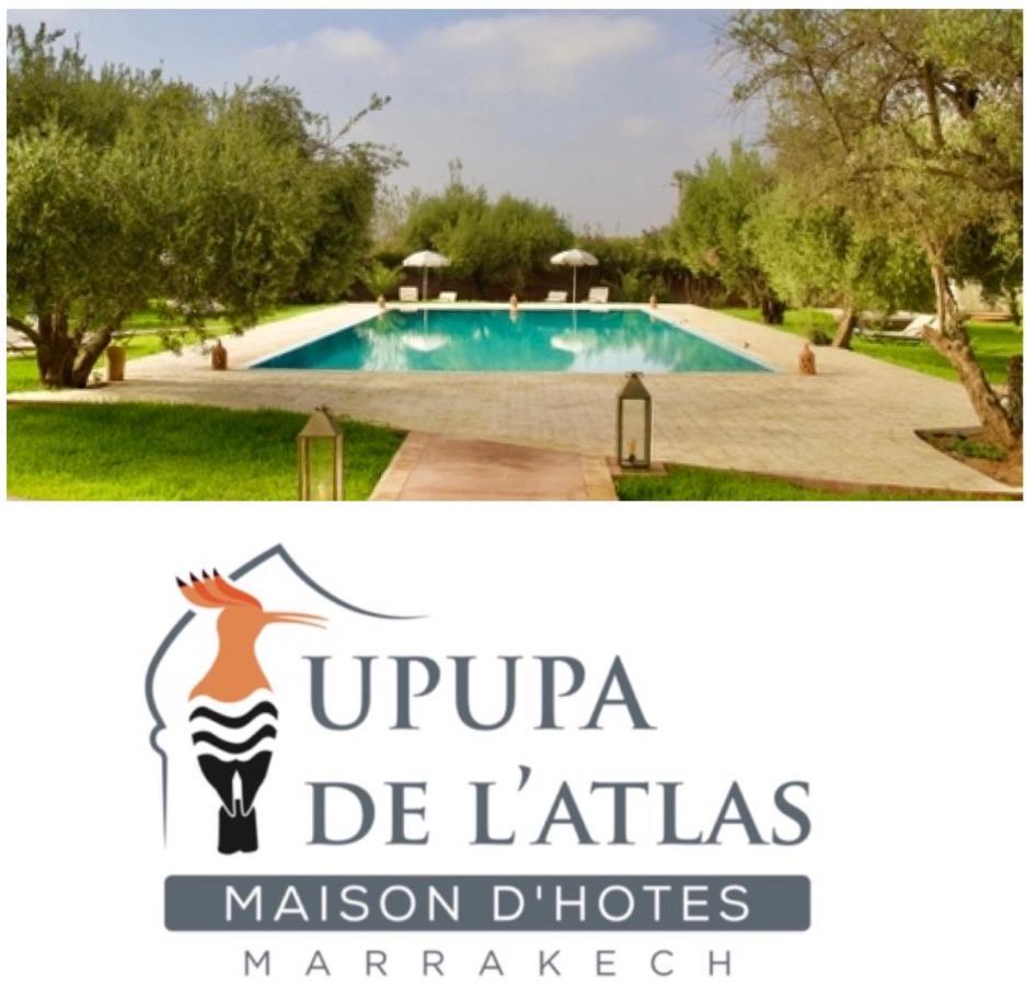 Upupa De L'Atlas Ouled el guerne Eksteriør billede