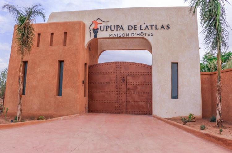 Upupa De L'Atlas Ouled el guerne Eksteriør billede