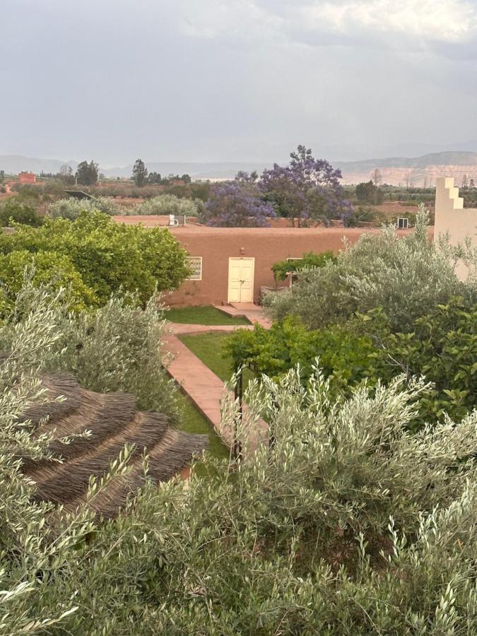 Upupa De L'Atlas Ouled el guerne Eksteriør billede